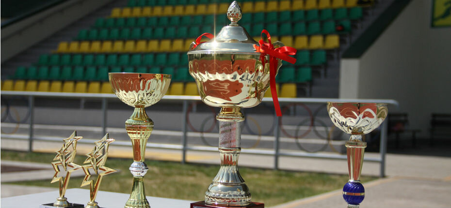 مدرسة رياضية Ramonskaya detsko-yunosheskaya sportivnaya shkola ، مقاطعة فورونيج، صورة