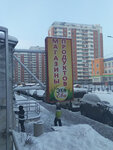Продукты, магазин (ulitsa Artilleristov, 33), grocery