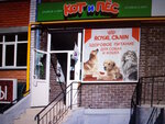 Kot i Pes (prospekt 50 let Oktyabrya, 26), tienda de animales