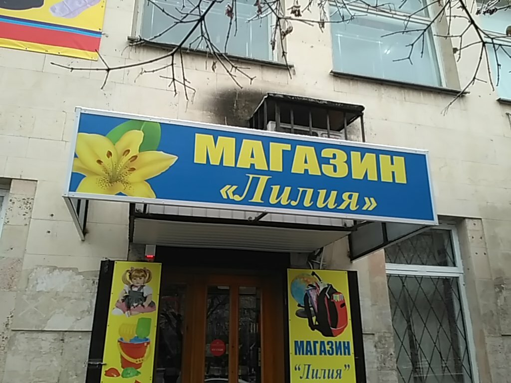 Магазин Игрушек Нальчик
