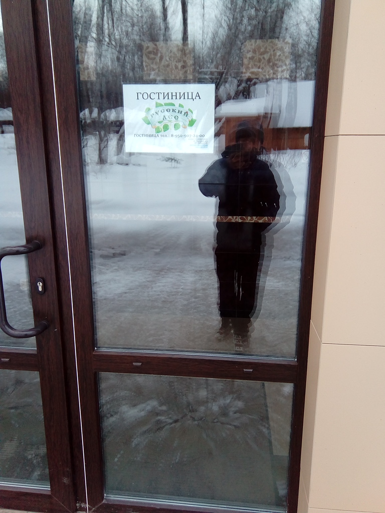 Фото Русский лес