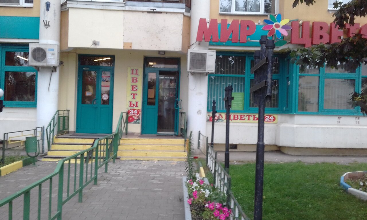 Зубок
