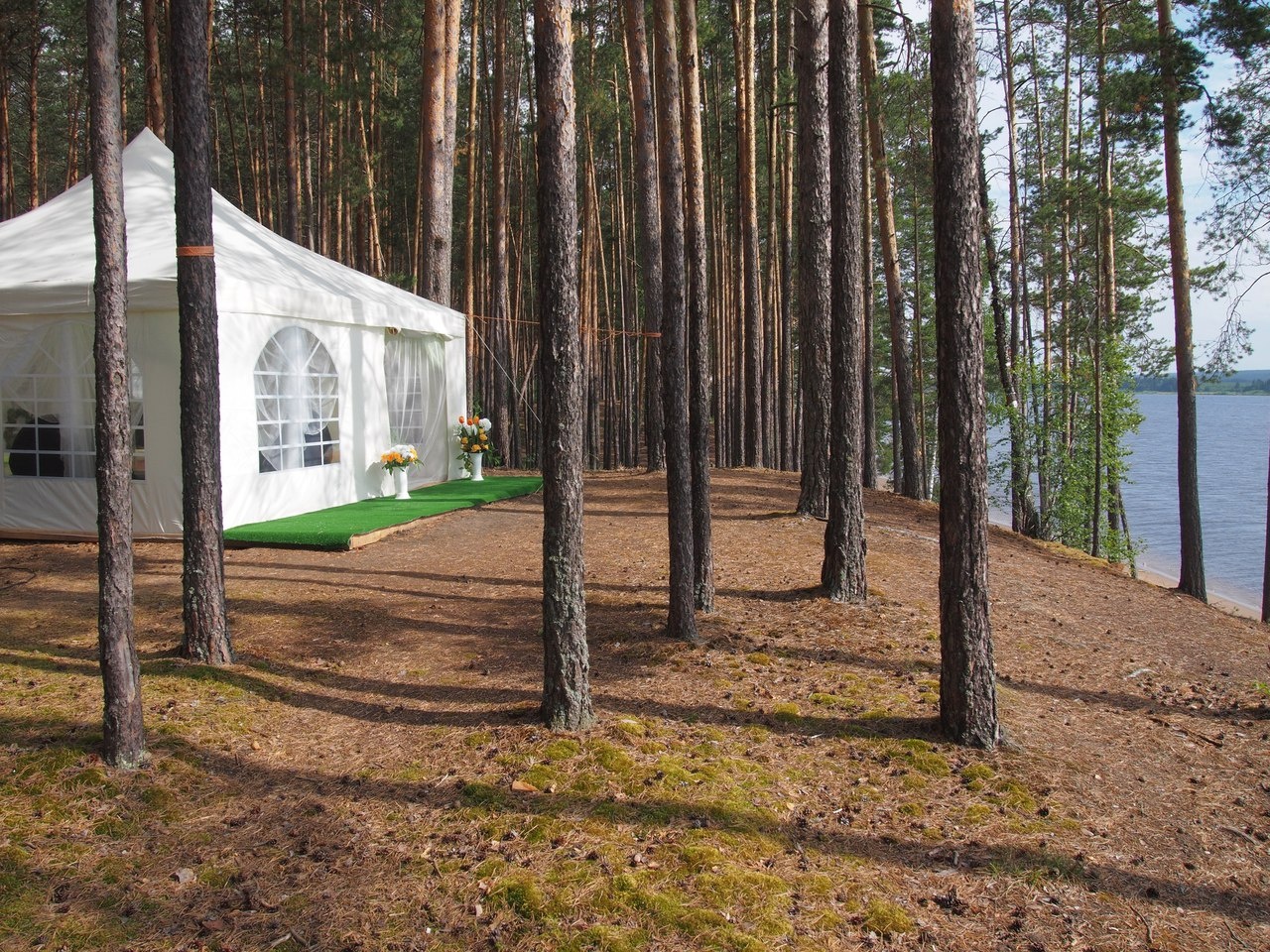 Фото Дивная усадьба