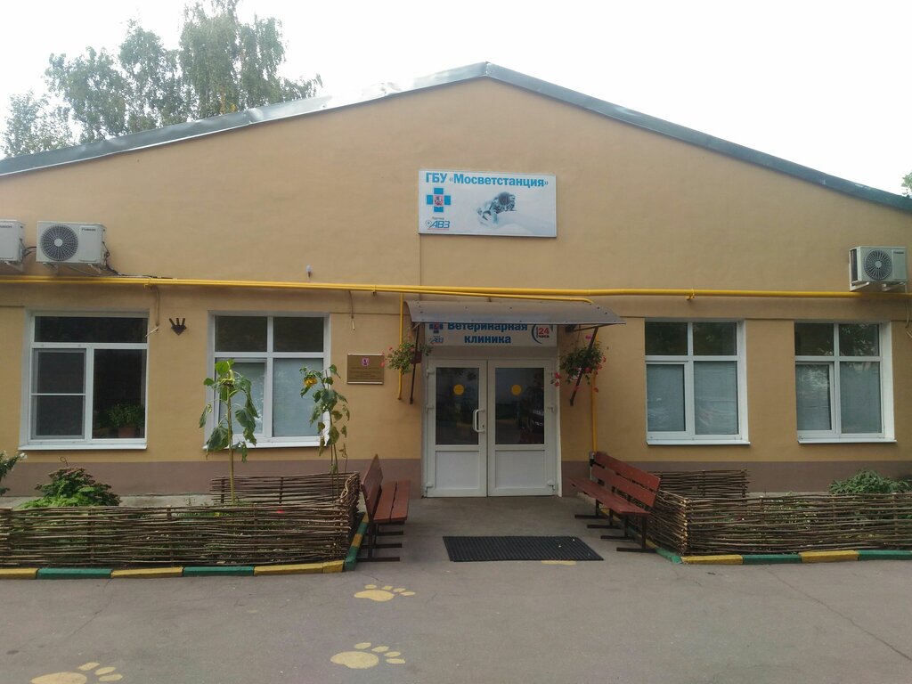 Veterinary clinic Mosvetstation, Moscow, photo