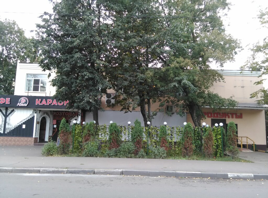 Household goods and chemicals shop Khoztovary, Moscow, photo
