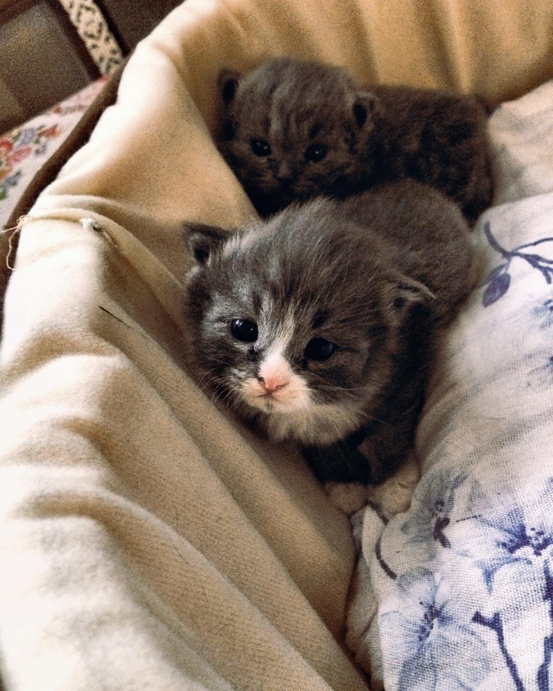 Фото Гостевая изба на Истре