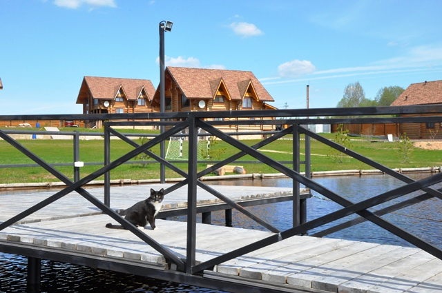 Фото Селигерская ривьера