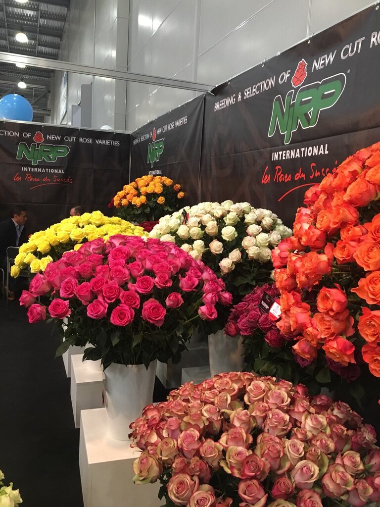 Магазин База Цветов Москва