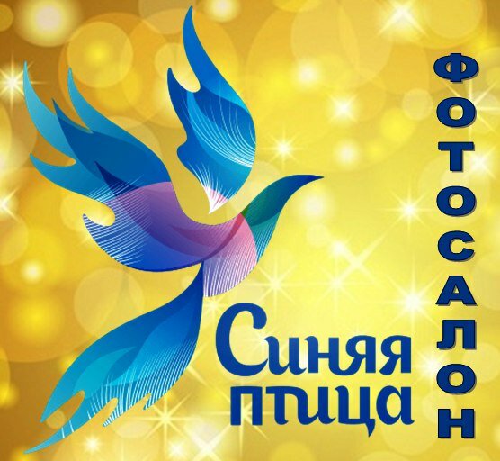 Синяя Птица Магазин Тюмень Официальный Сайт