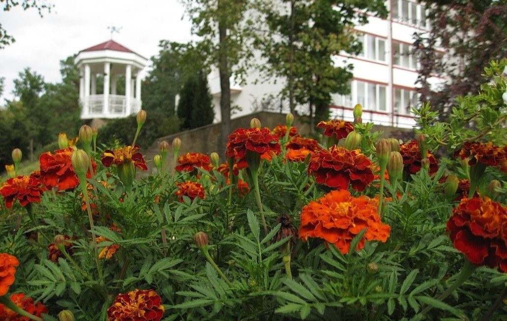 Фото Молния