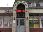 Tsvety (Volgogradsky Avenue, 46/15к3А), flower shop