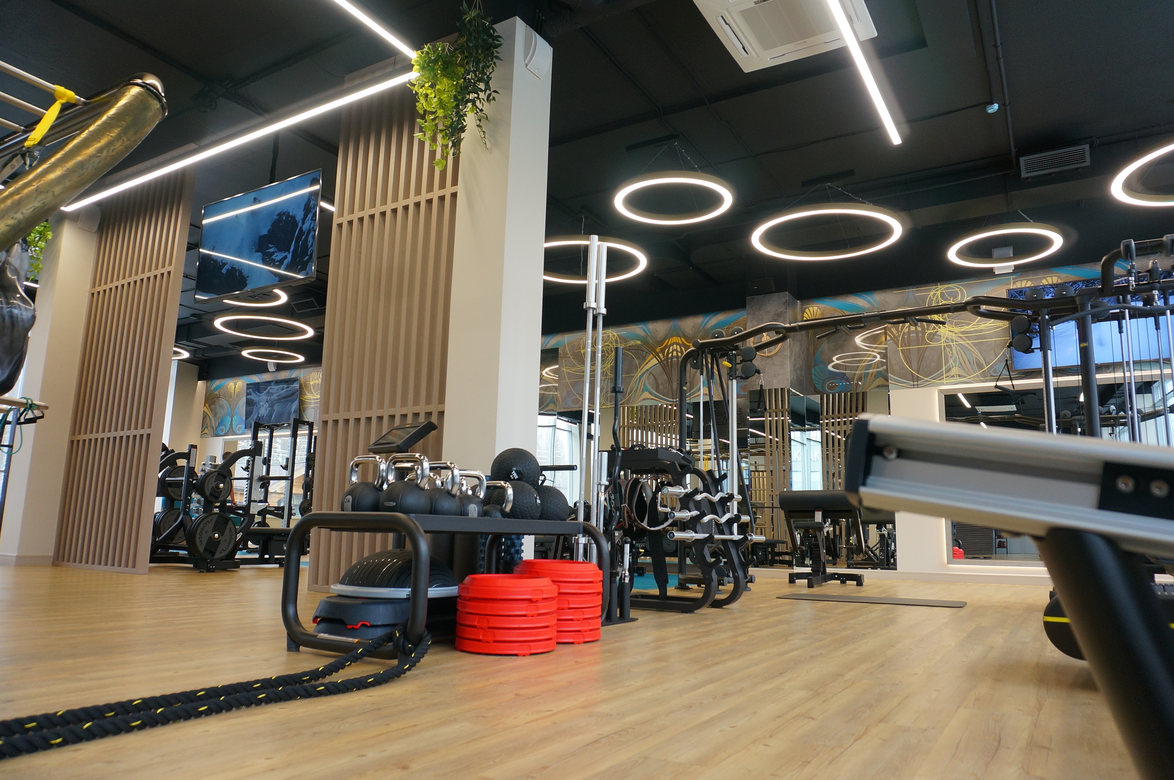 Фото Золотой ручей