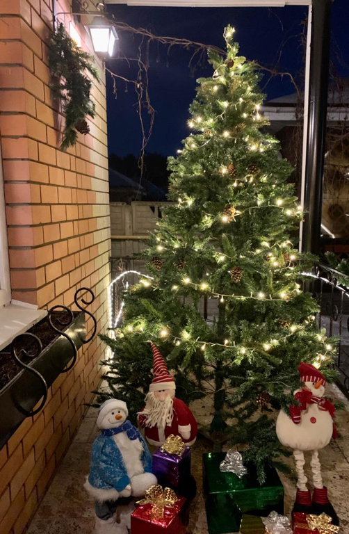 Фото Гнездо Хорошее место