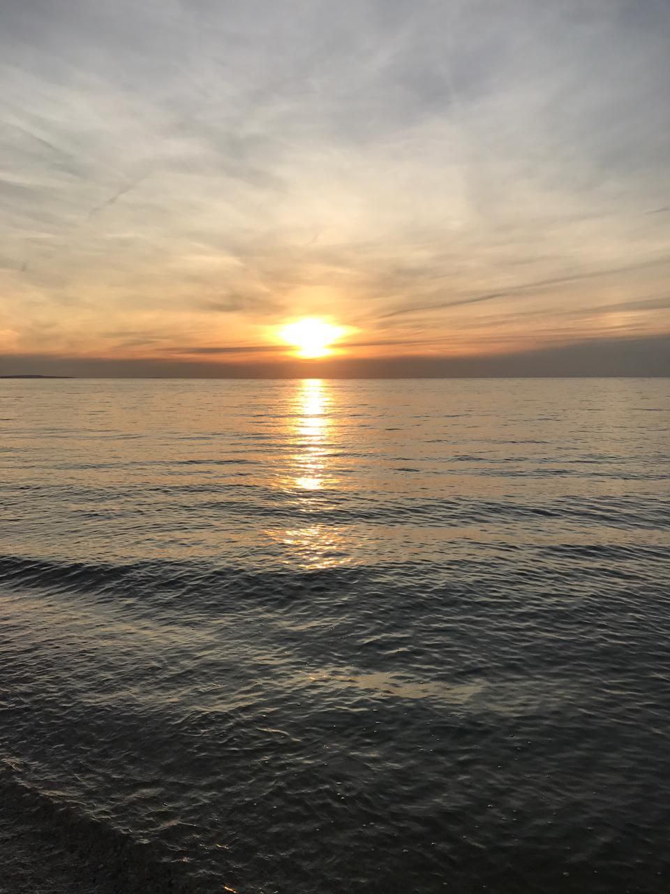 Фото Фортуна