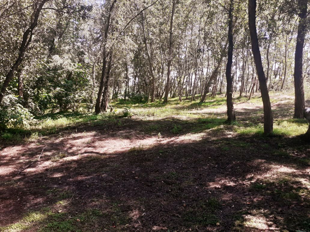 Фото База Звезда