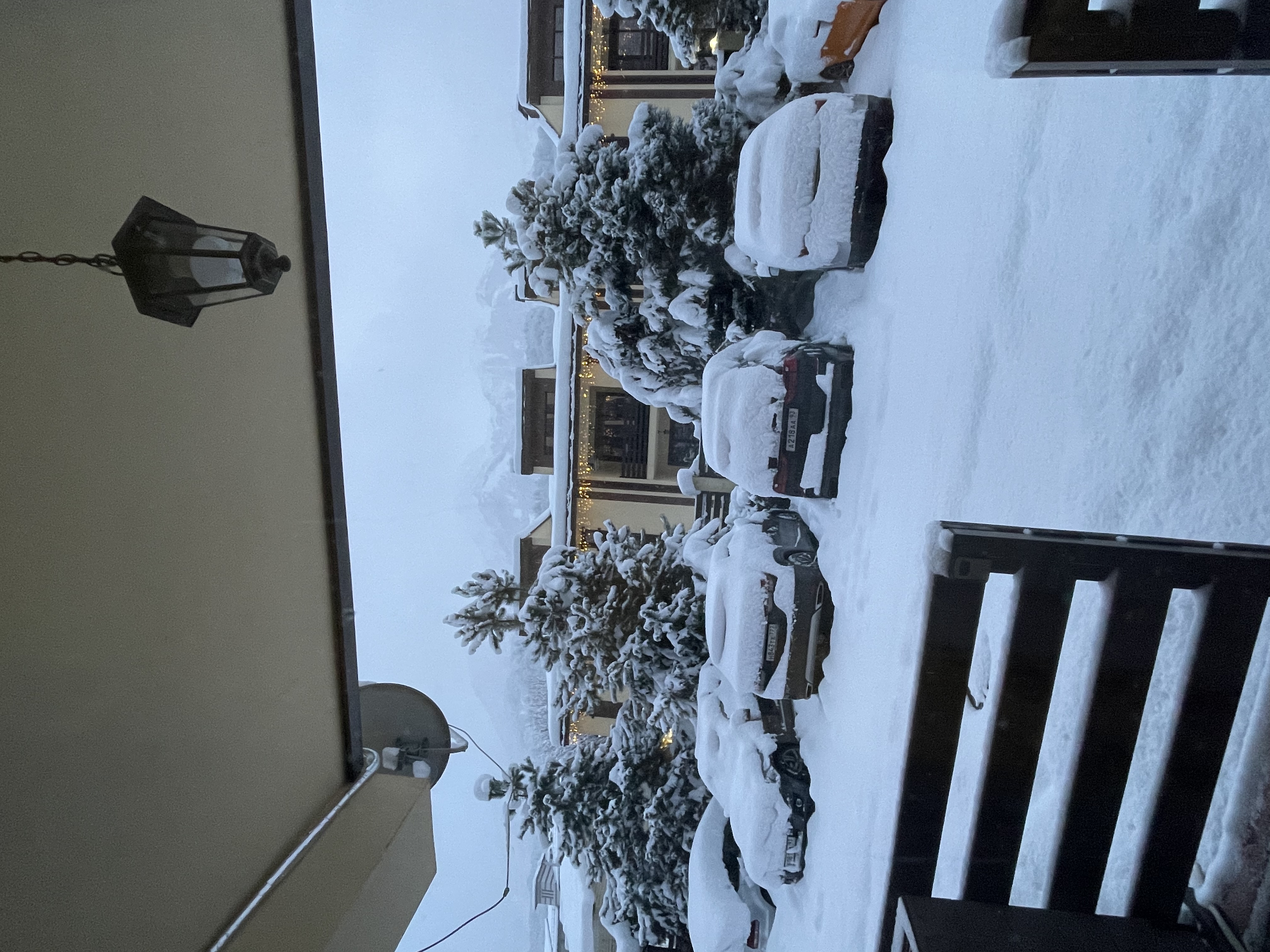 Фото Сердце Поляны