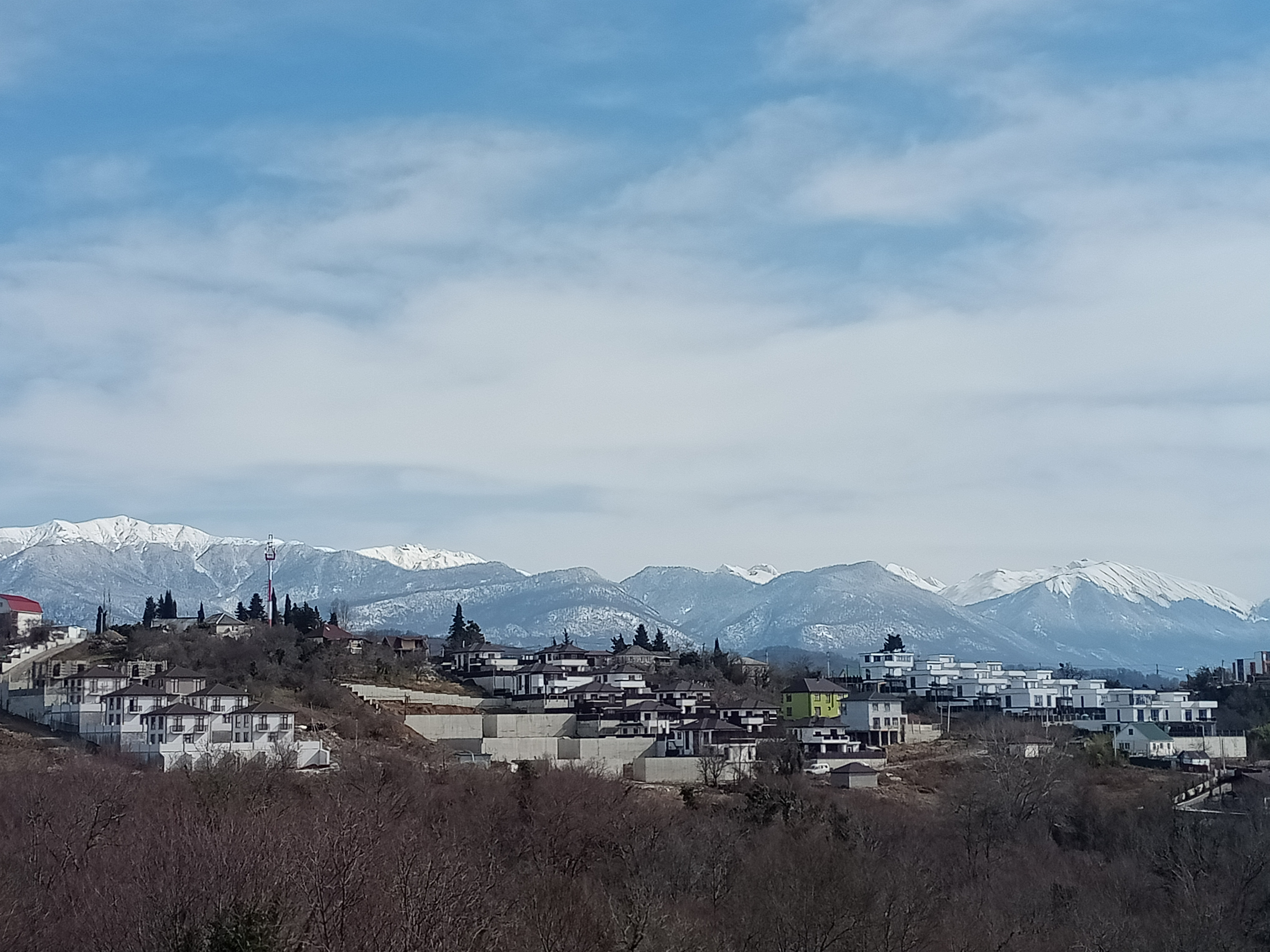 Фото Оранжереи