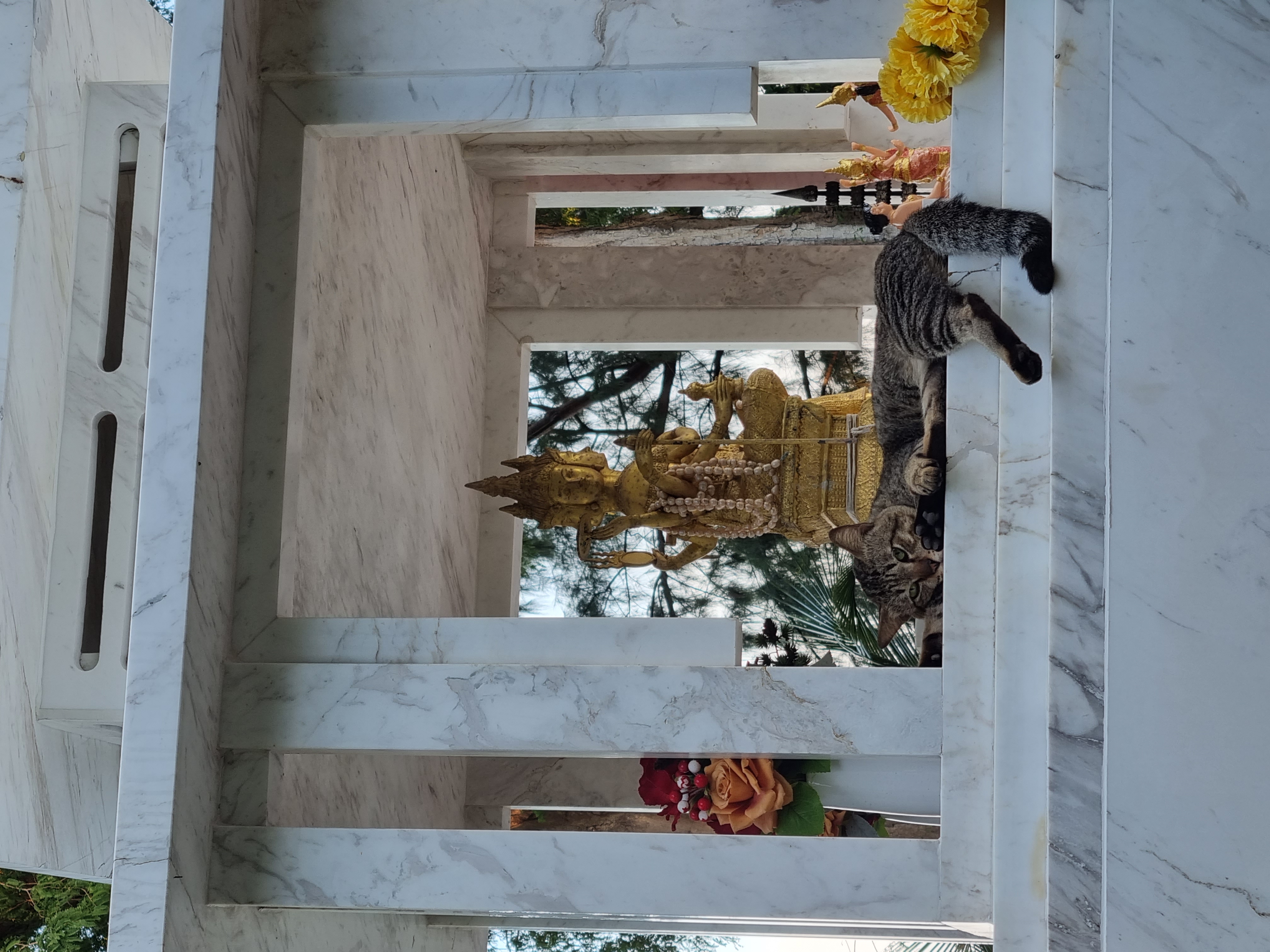 Фото AO Cho Grandview Hideaway Resort