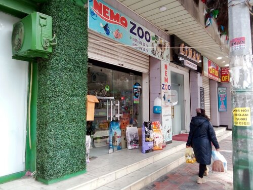 Nemo Zoo pet shop Bak khanov settlement Sakit Qocayev Street