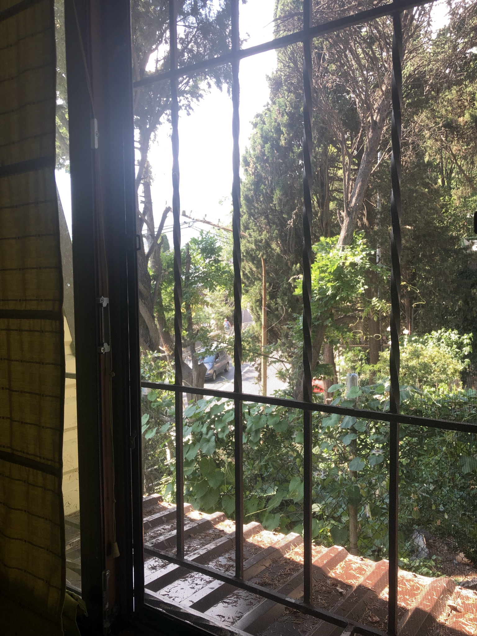 Фото Ялта 4 сезона