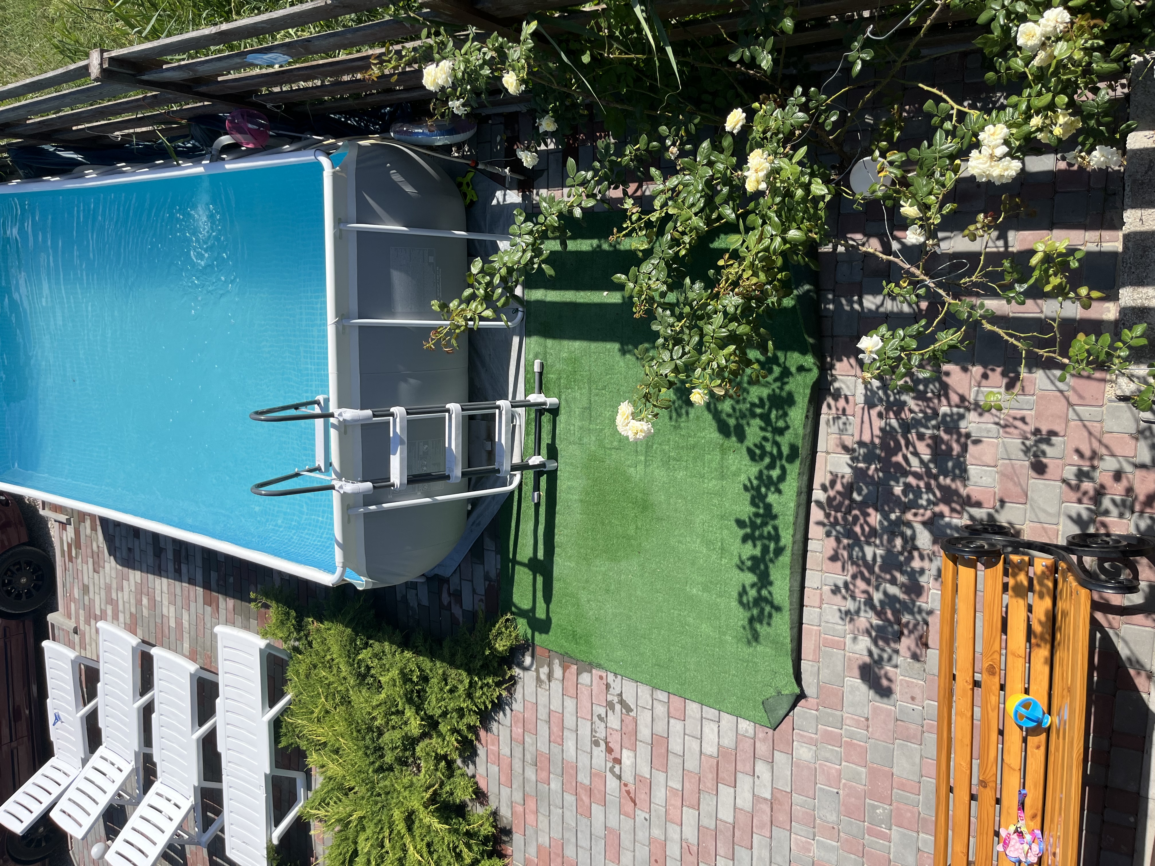 Фото Хороший гость