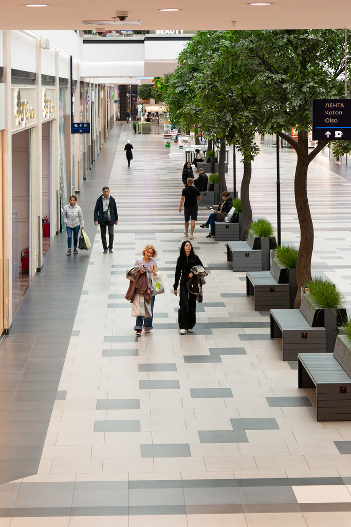 Shopping mall Mozaika, Moscow, photo