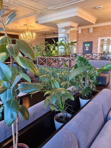 Гостиница Reston Hotel & SPA в Республике Бурятия