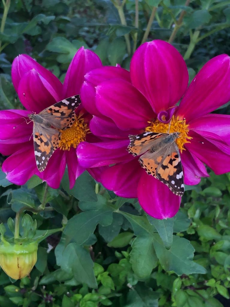 Фото Коттедж у моря Дом & Пляж