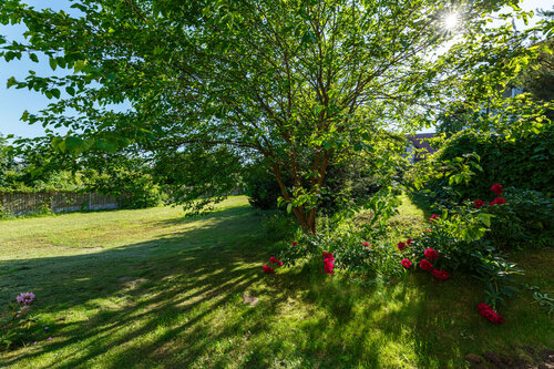 Внешний вид отеля На Каштановой в Калининграде, фото 4