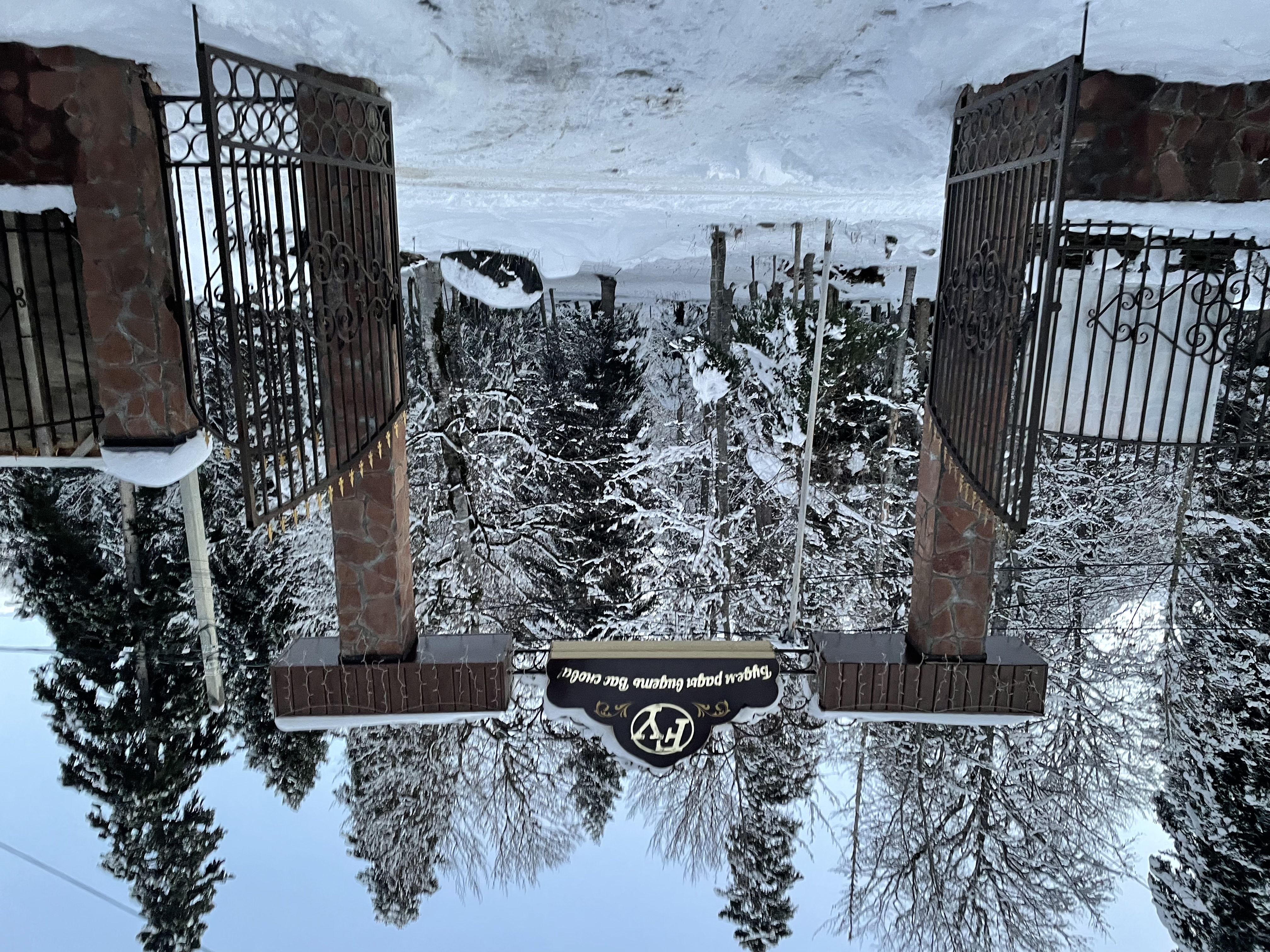 Фото Forest Yard