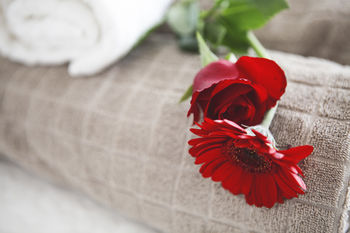 Фото Alessia's Flat - Tortona