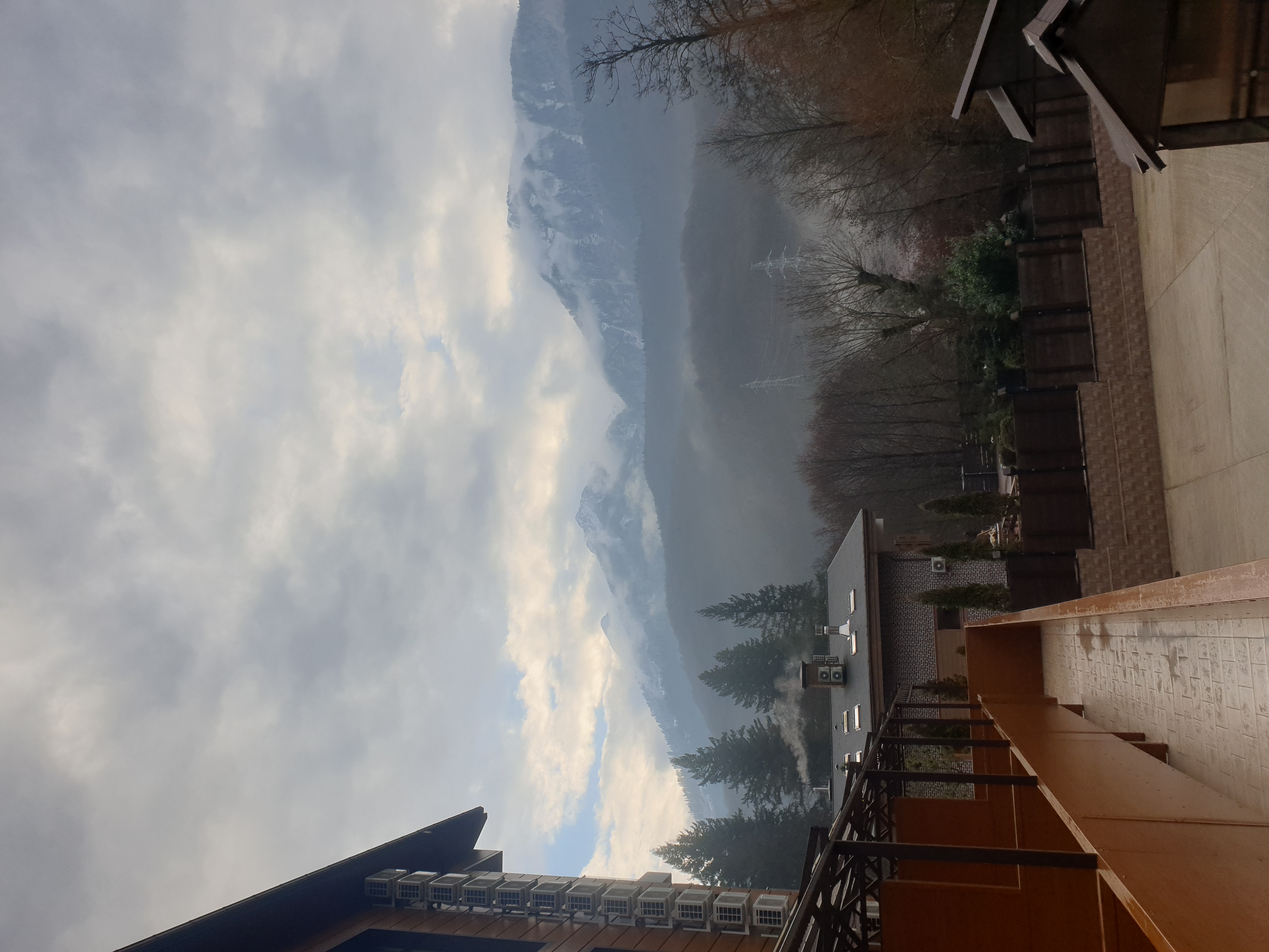 Фото Вальс цветов