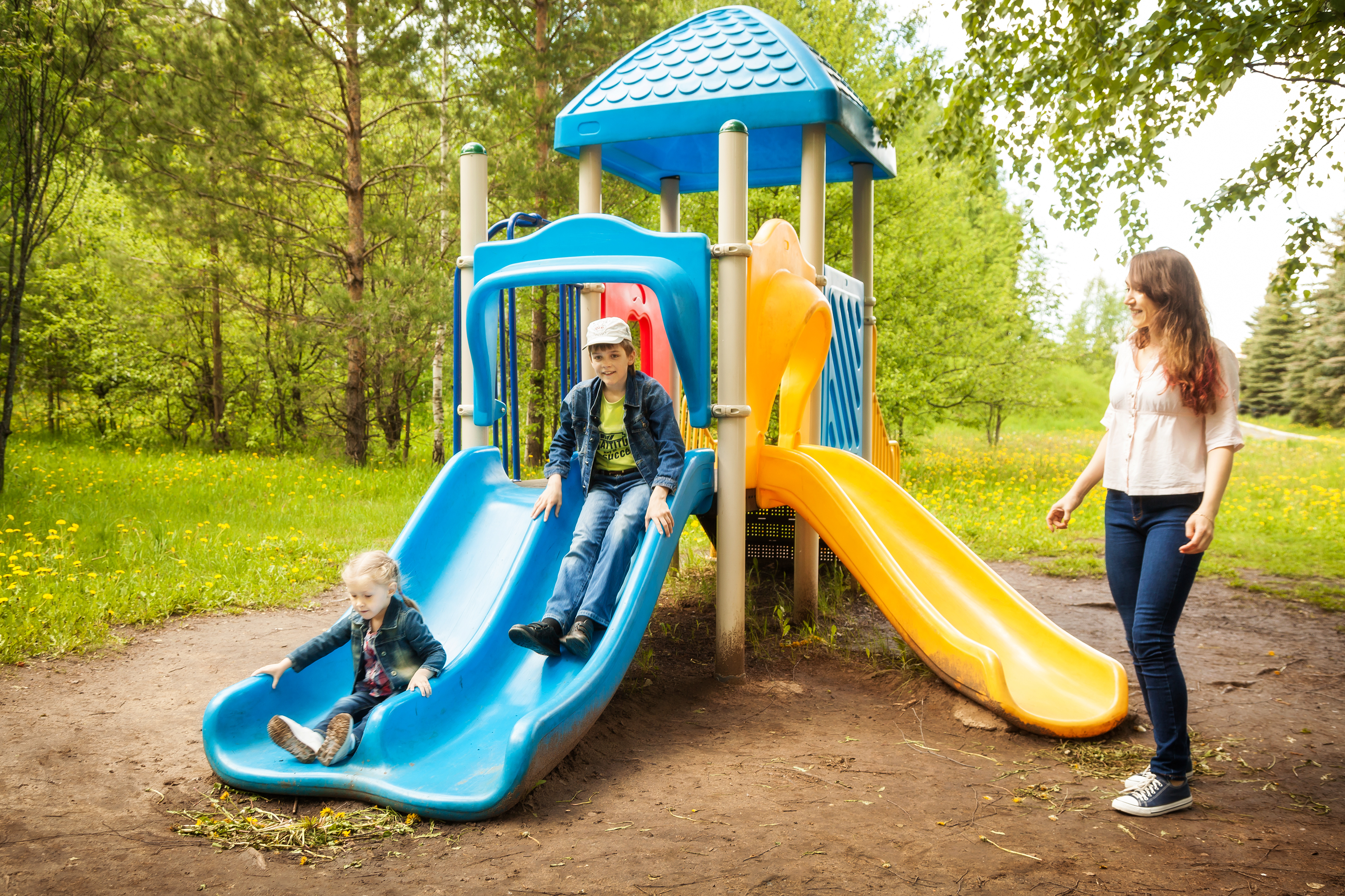 Фото Сосновый