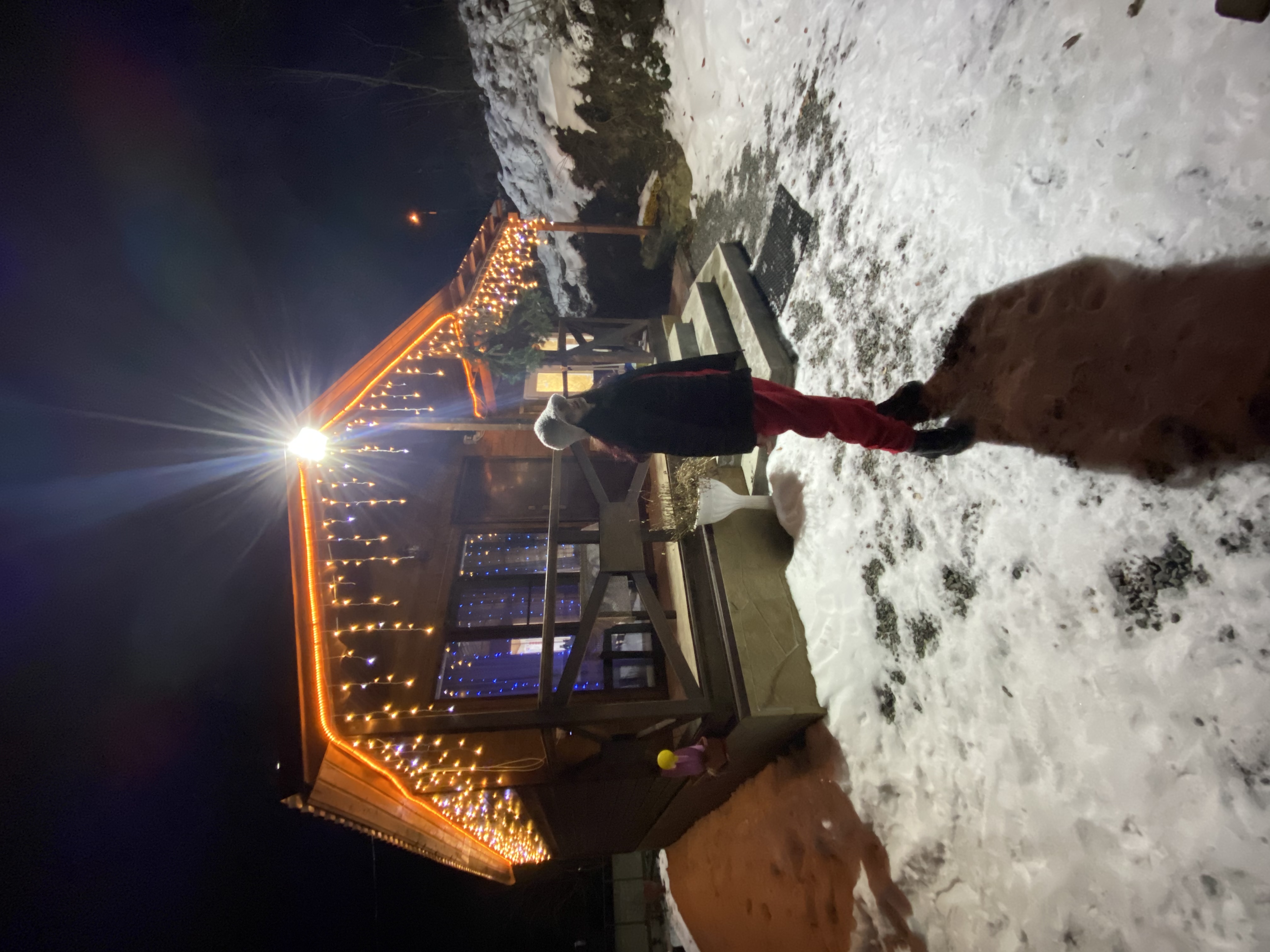 Фото Шале Чинара