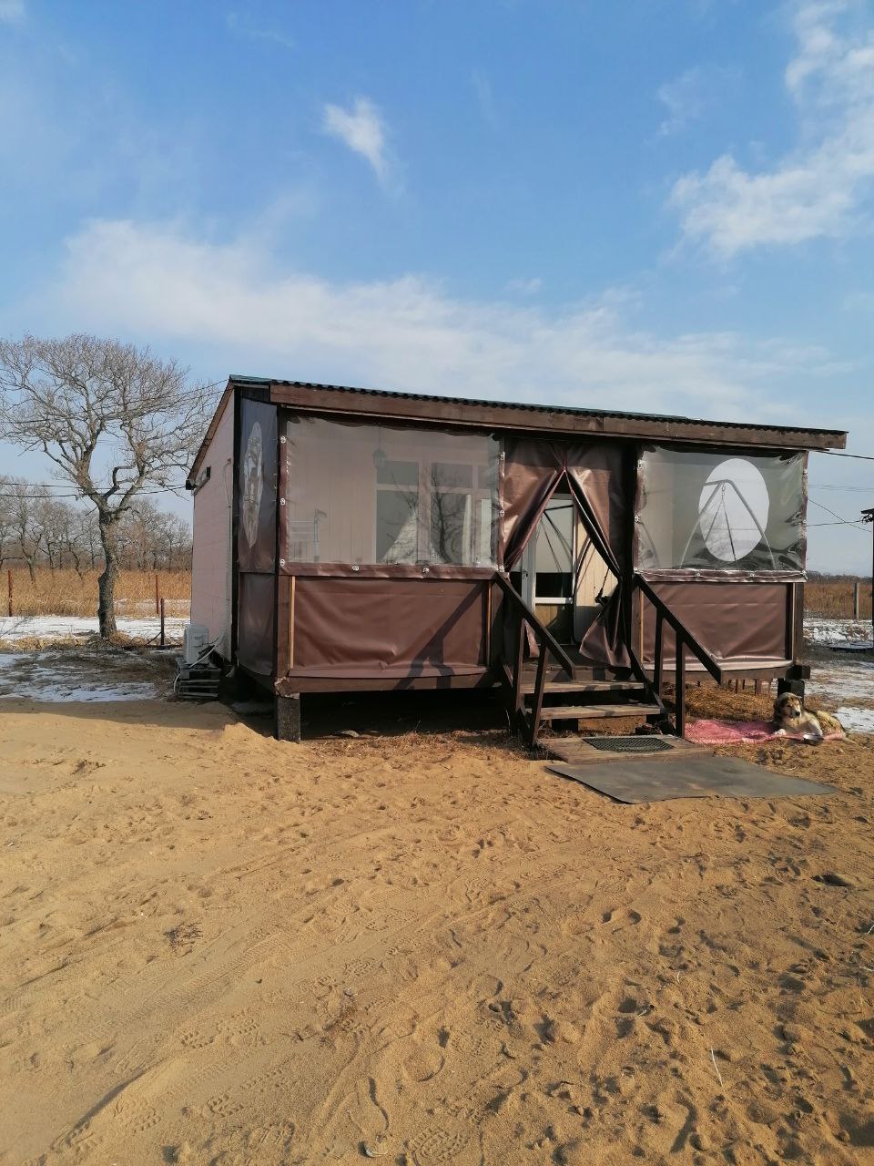 Фото Янтарная