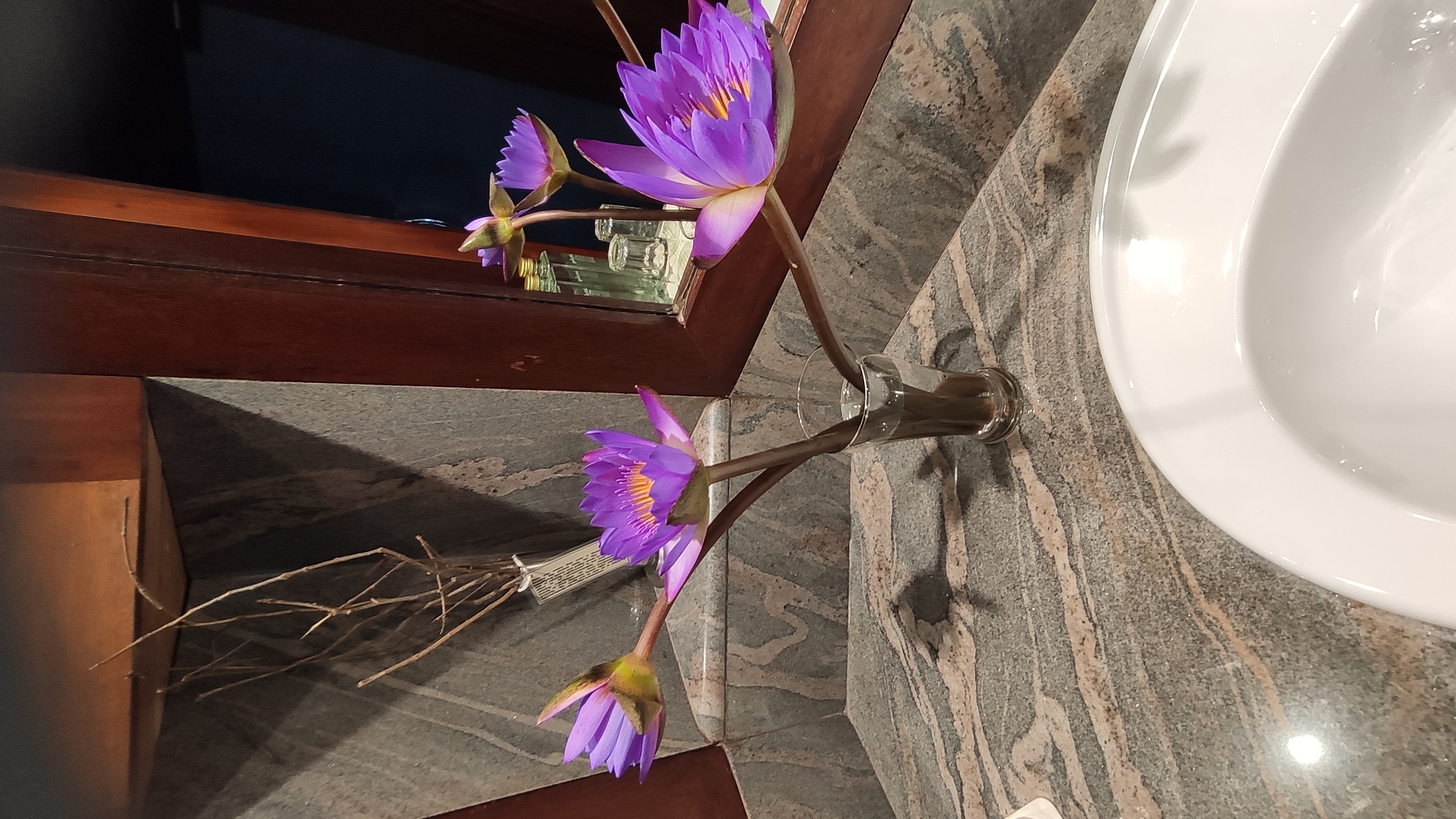 Фото Jetwing Lighthouse