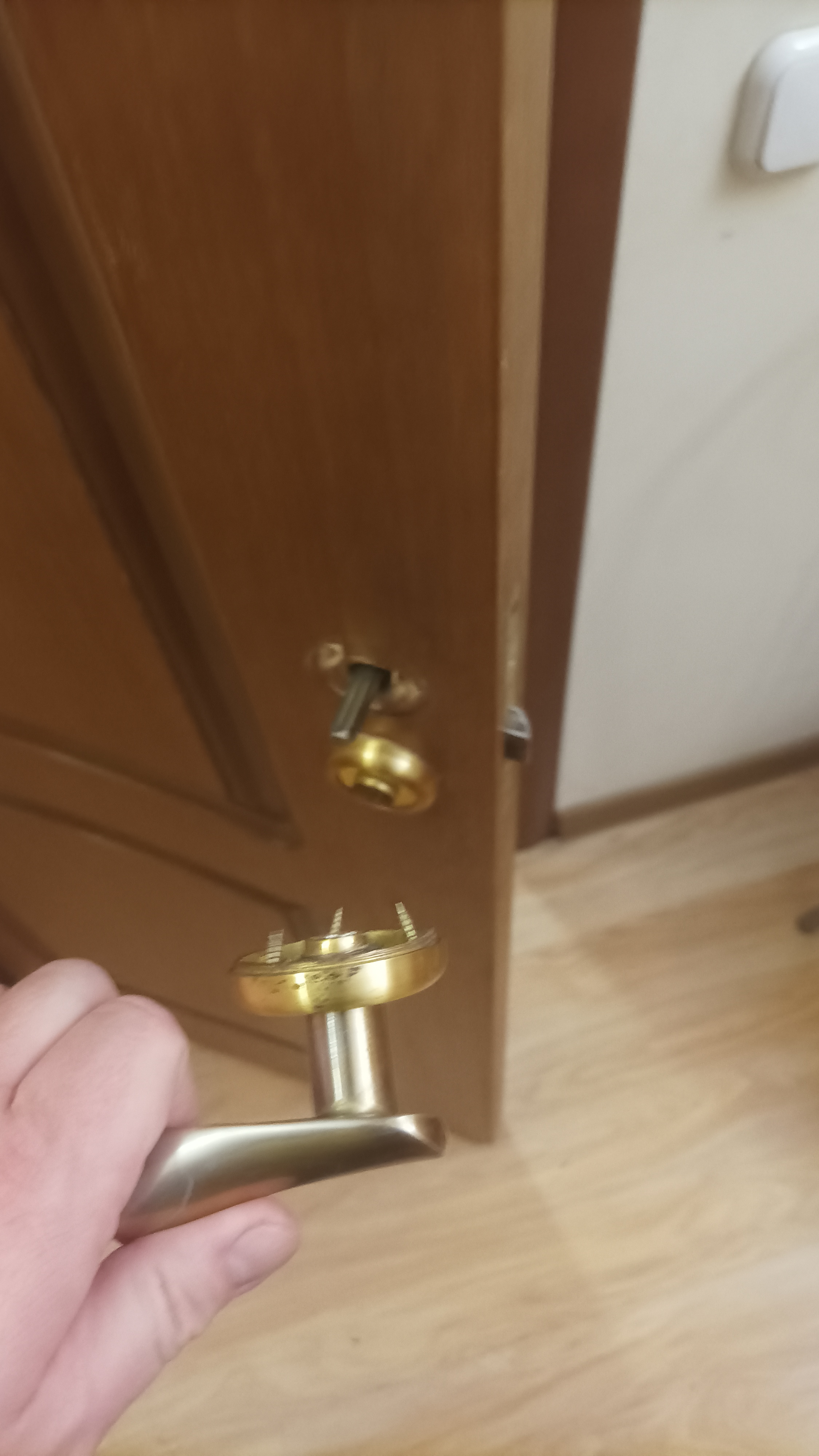 Фото Роза Ветров