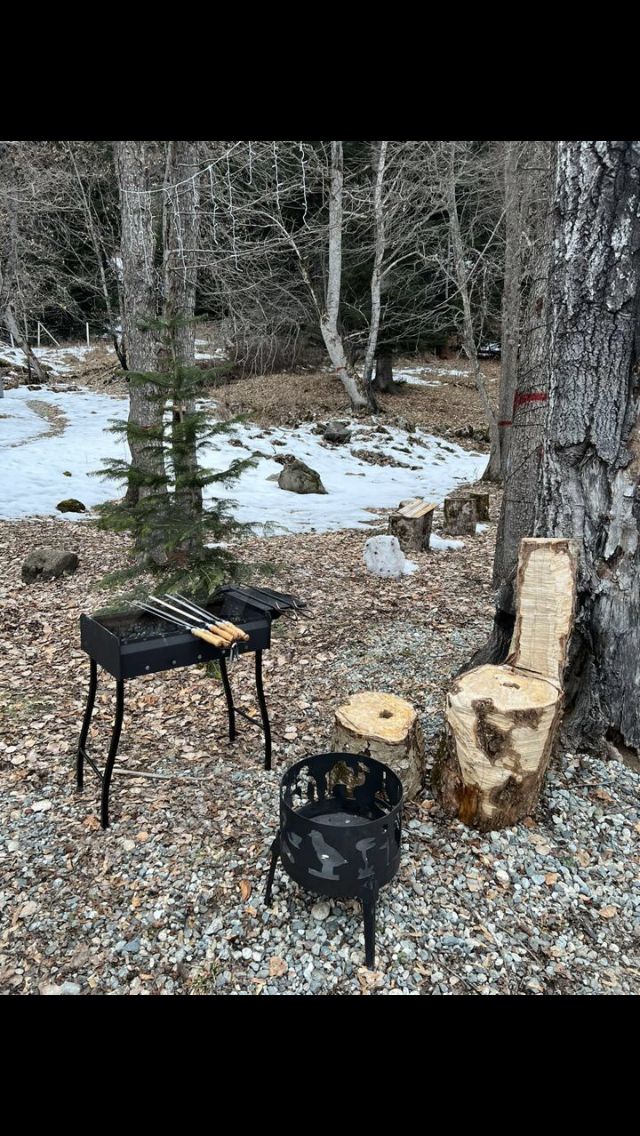 Фото Дикая Лошадь