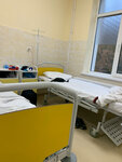 Infectious Diseases Hospital (Ялта, Бакунинский проезд, 11), specialized hospital