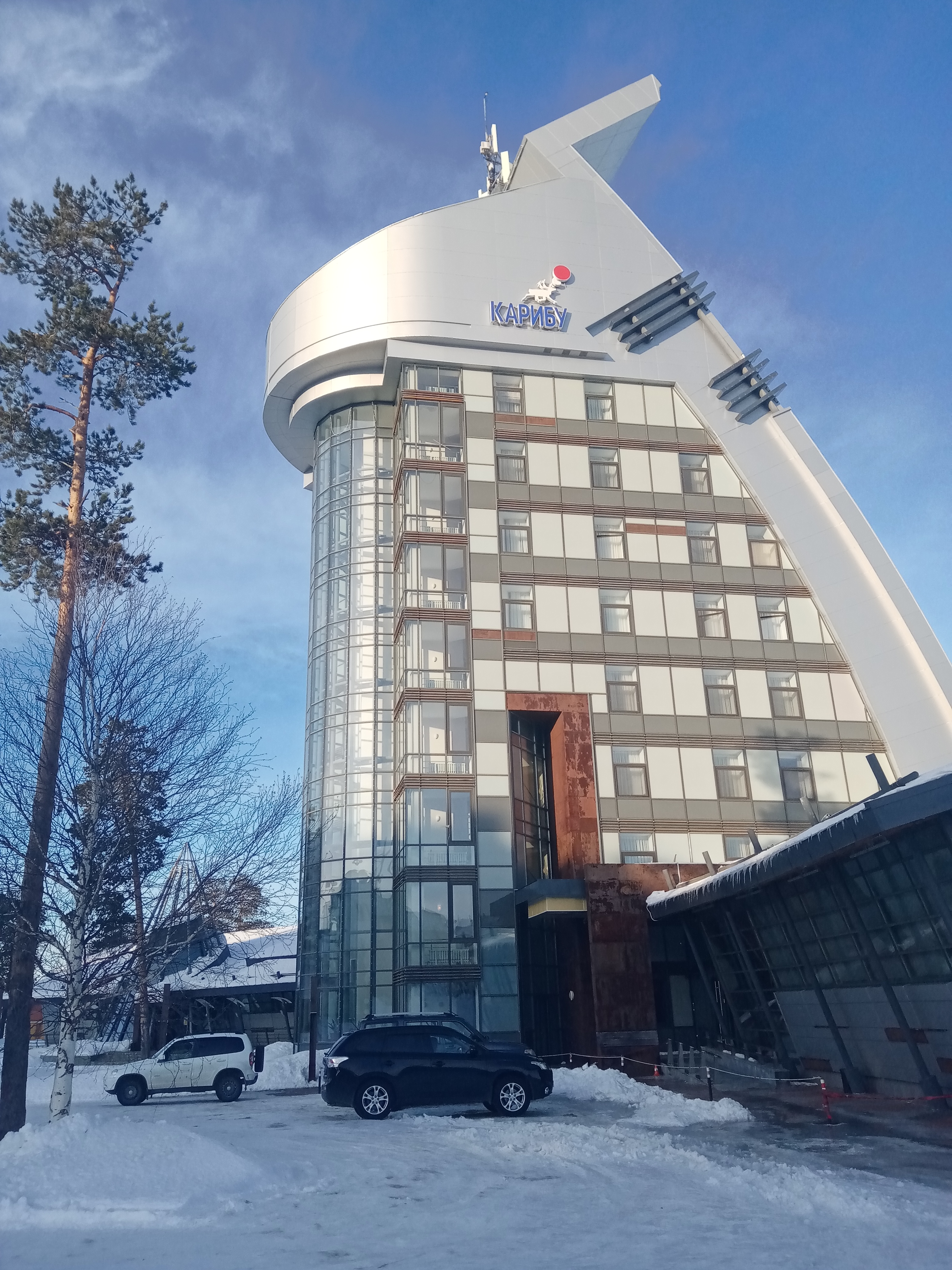 Фото Карибу