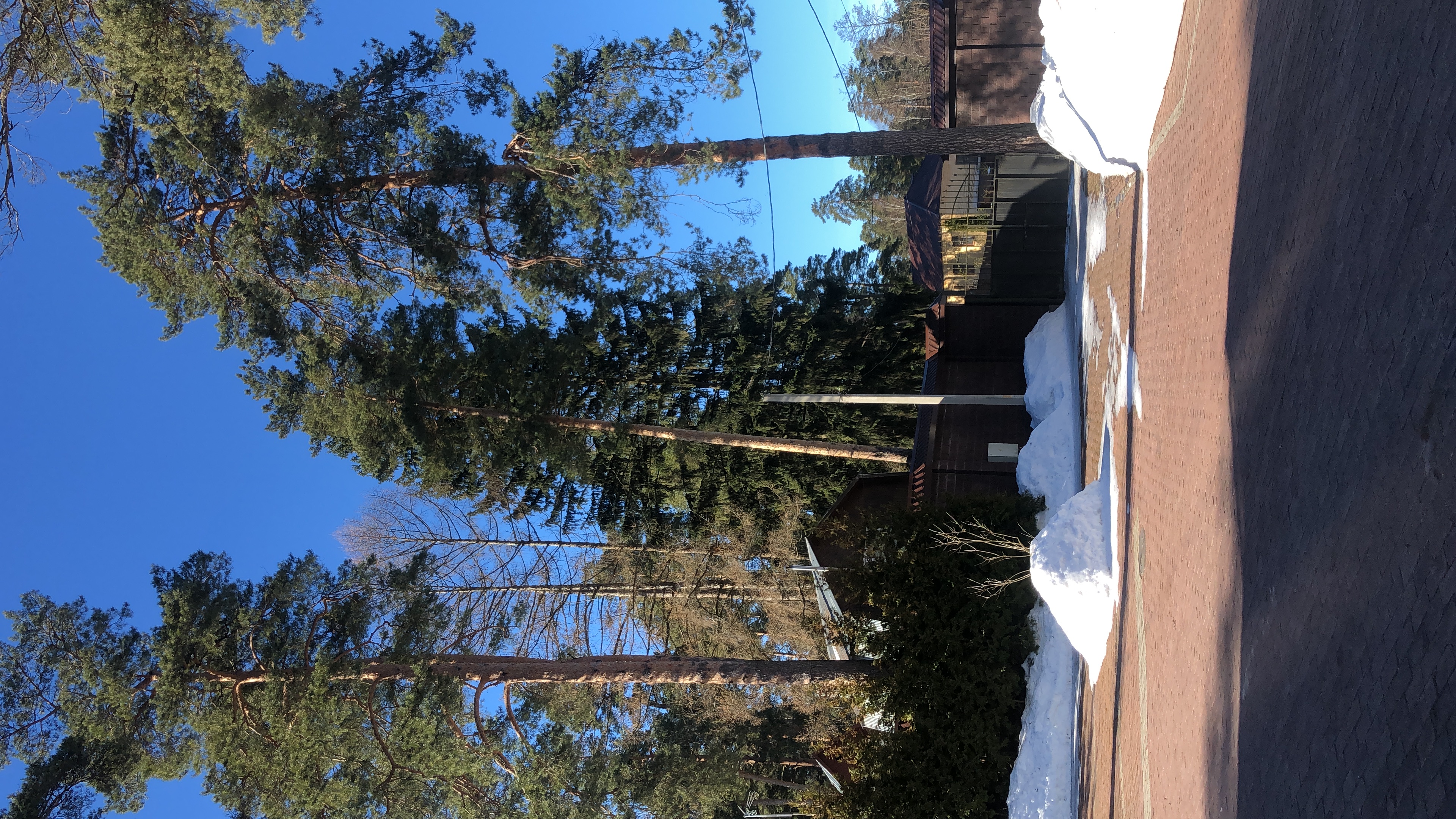 Фото Тихая заводь