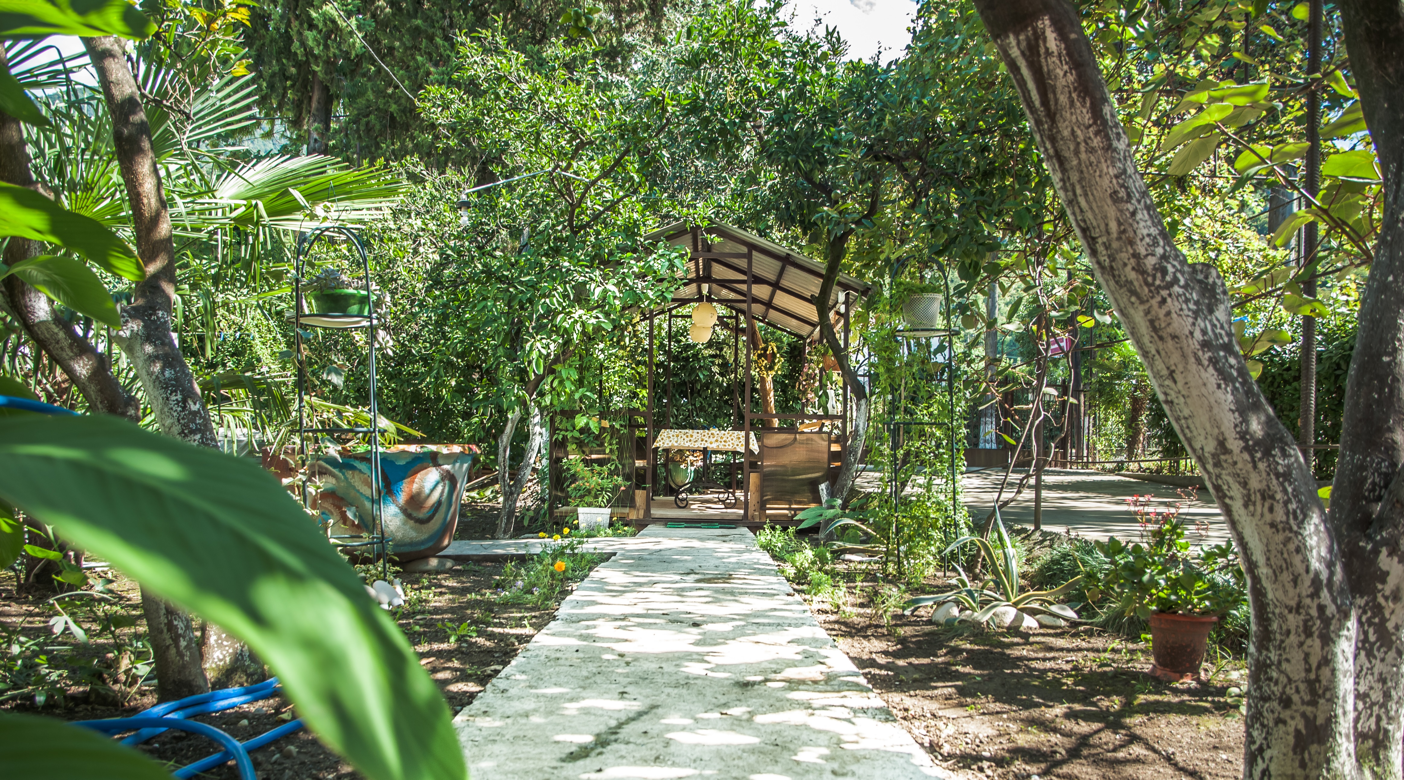 Фото отеля 4