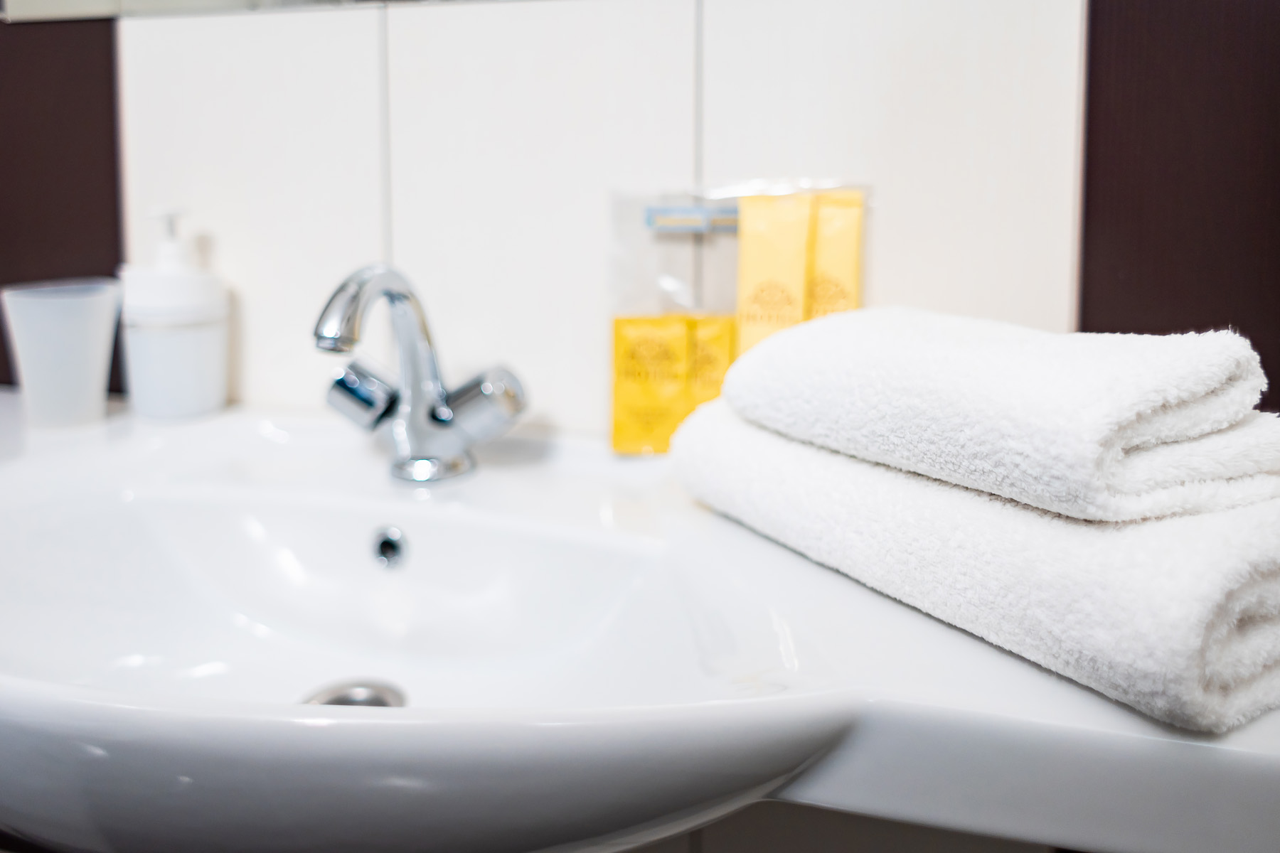 Фото Подсолнух