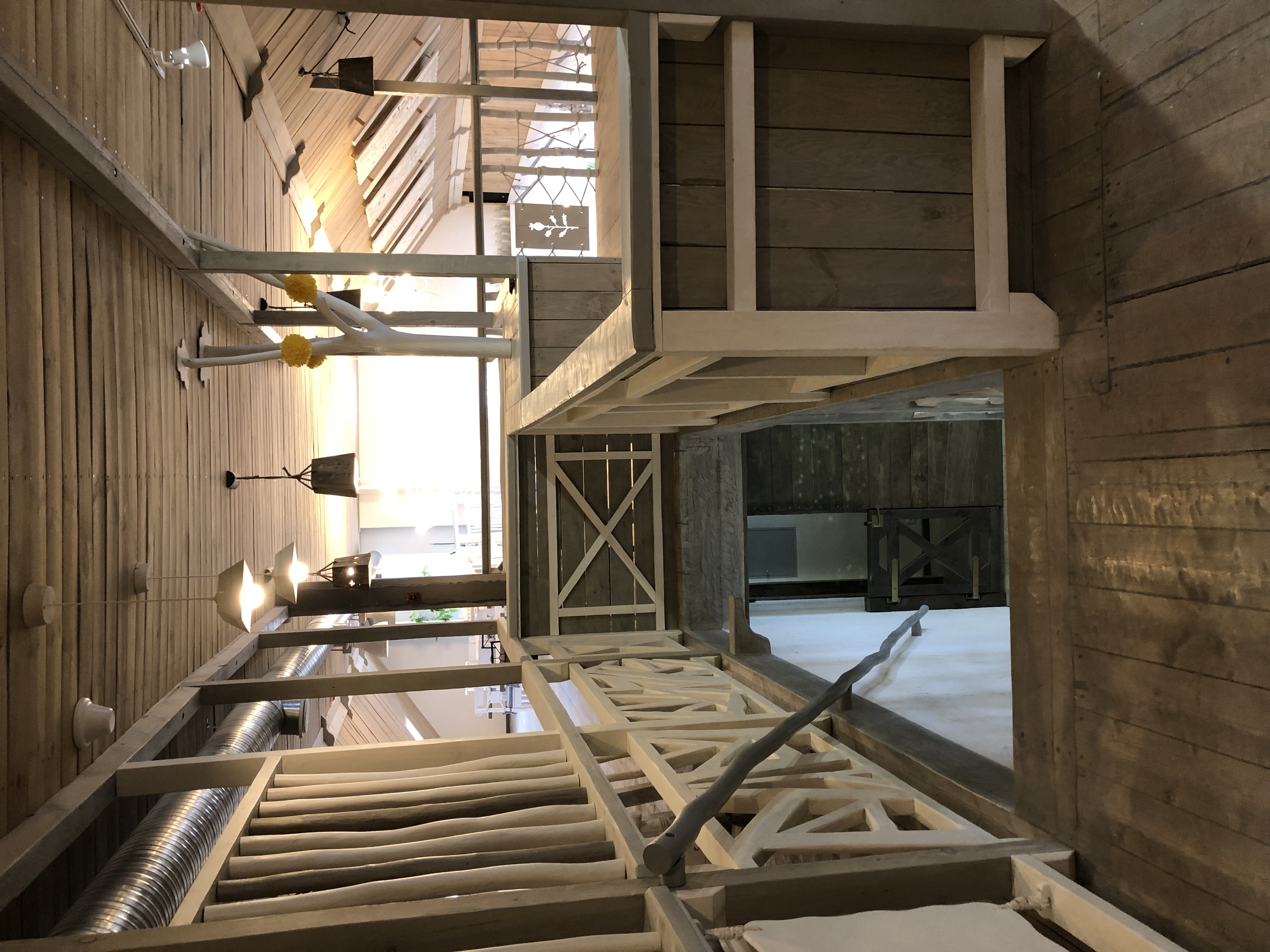 Фото Лосьпробежал