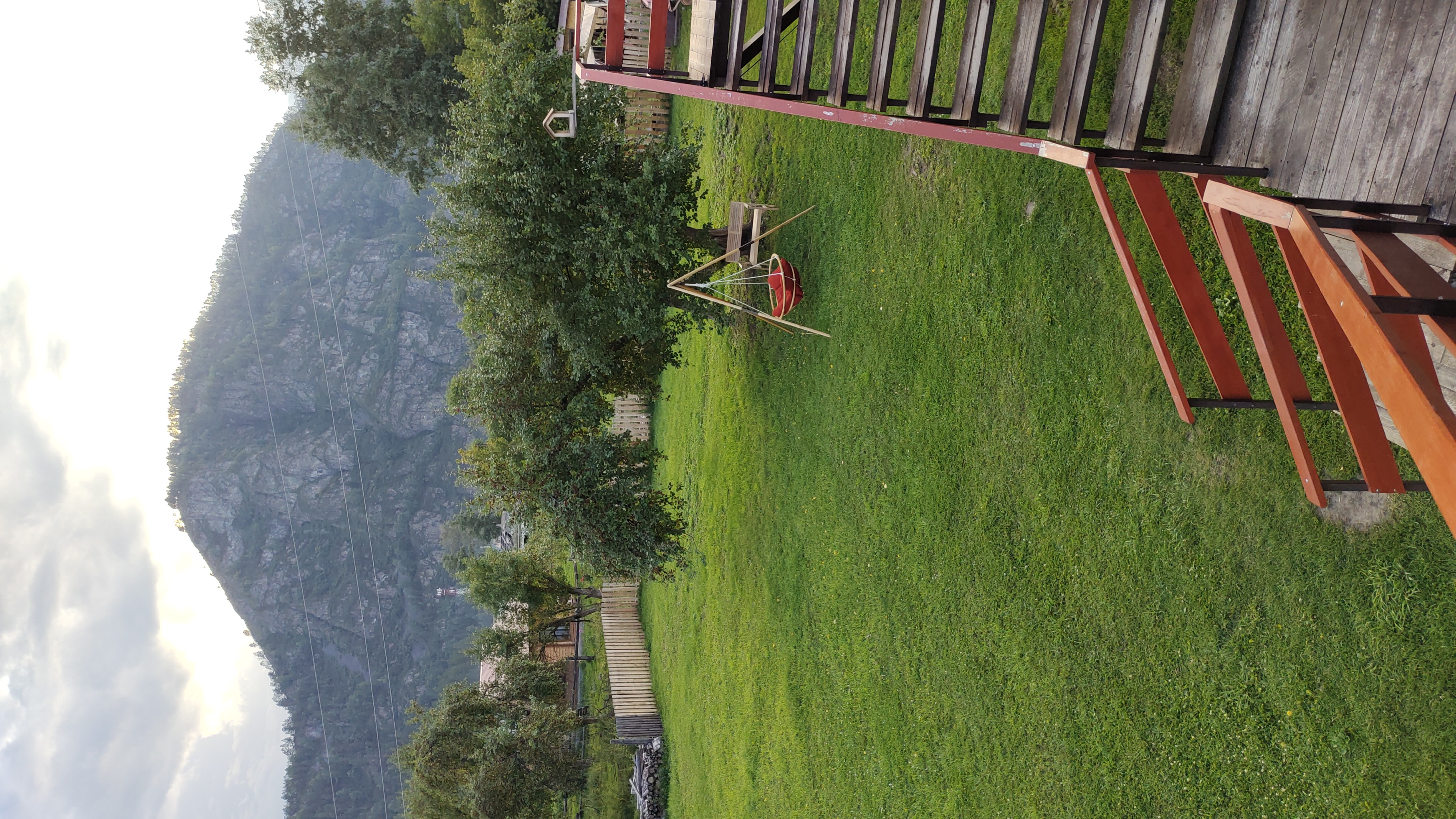 Фото Золотой медведь