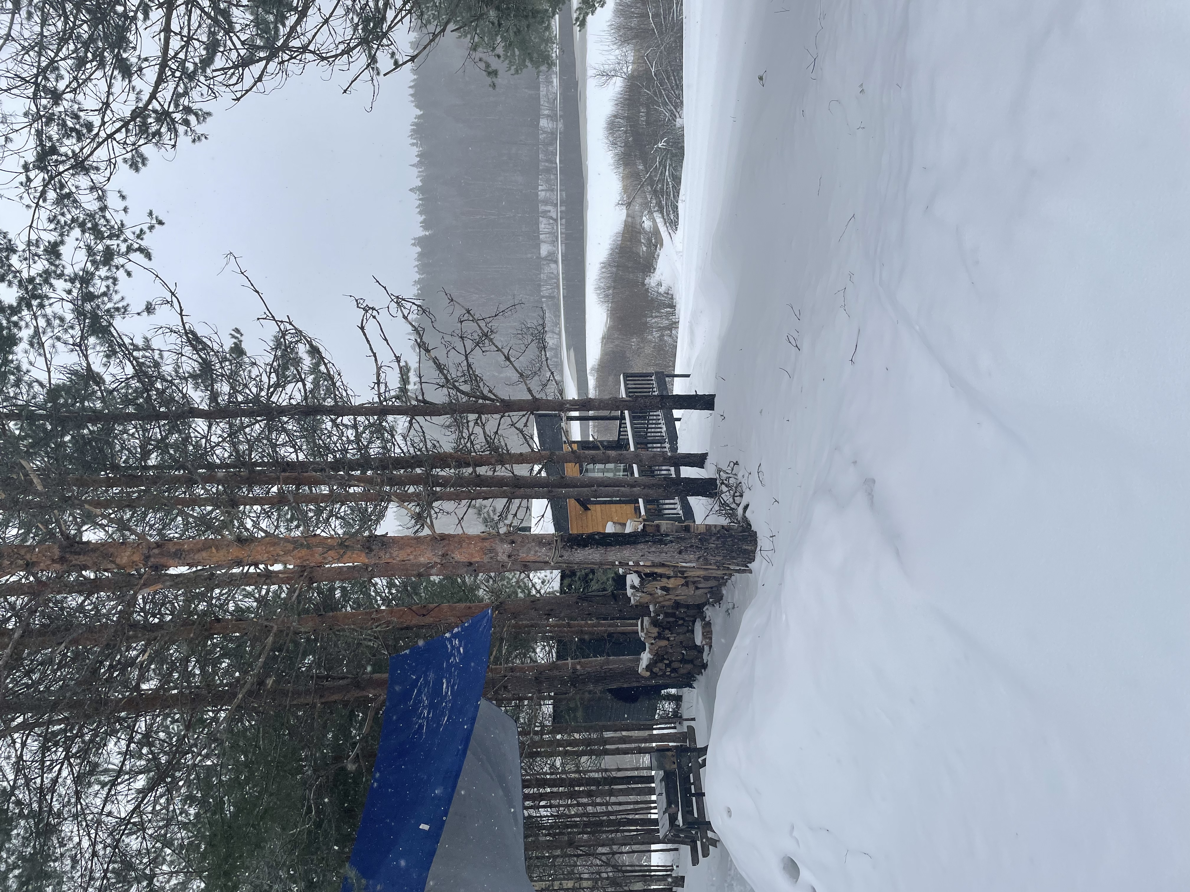 Фото Дом в лесу Холмово