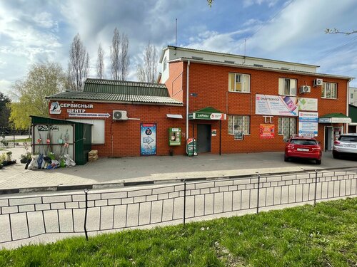 Арқаларында туу белгілері бар толық әйелдер (порно)