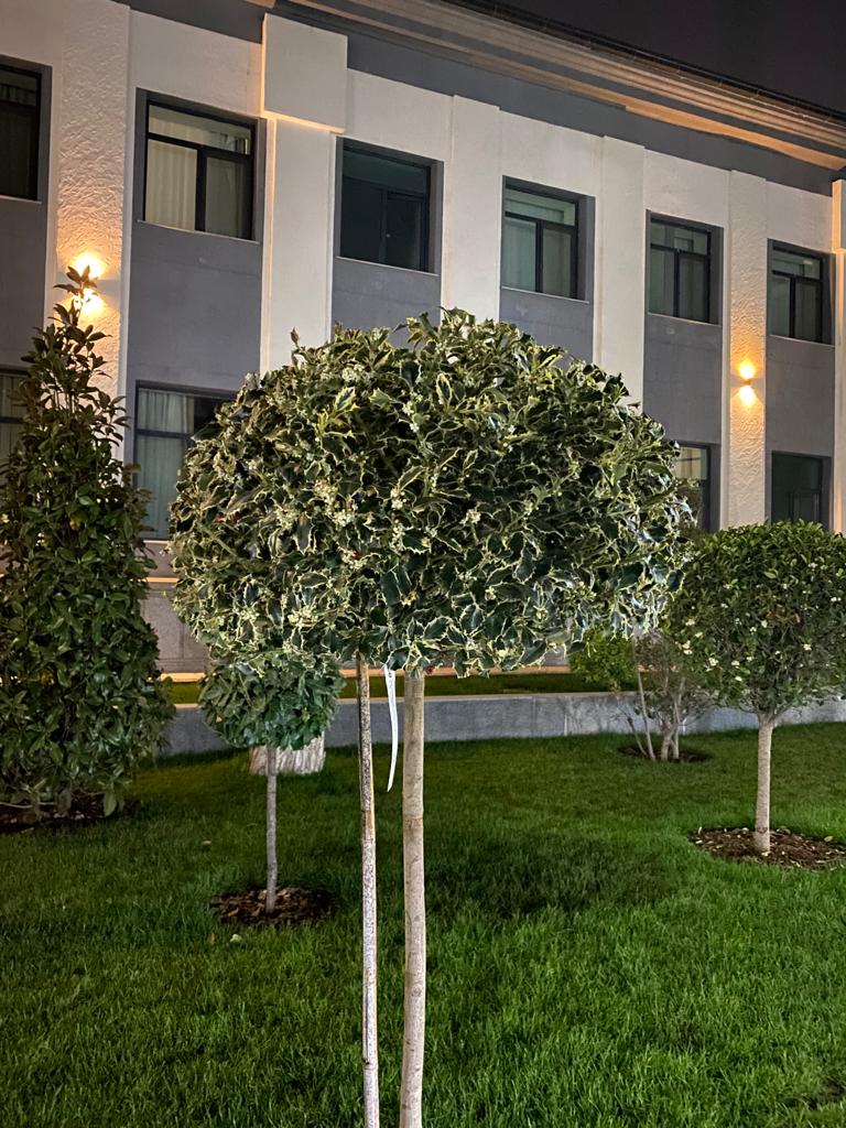 Фото Green Park Hotel