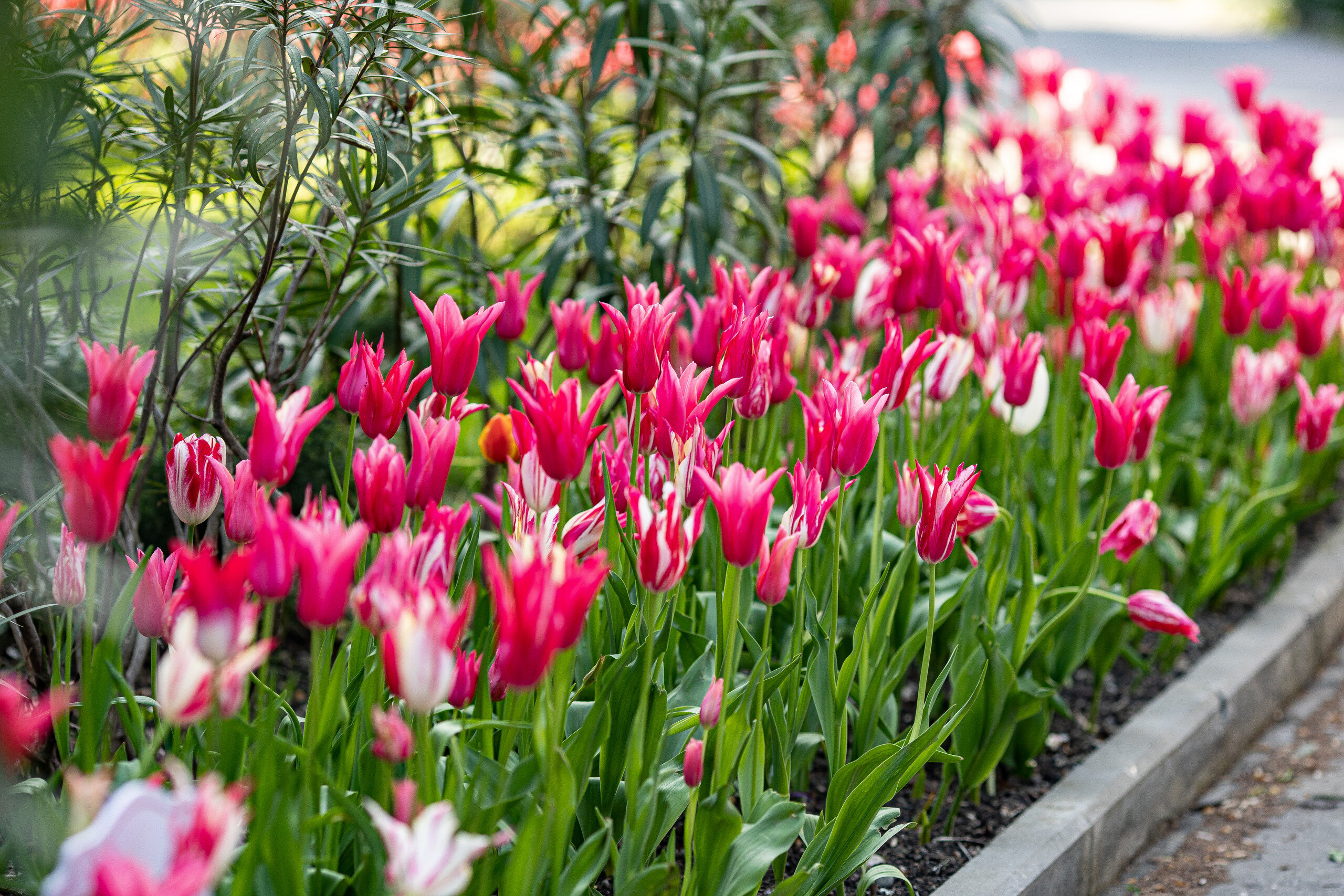 Фото Южное взморье
