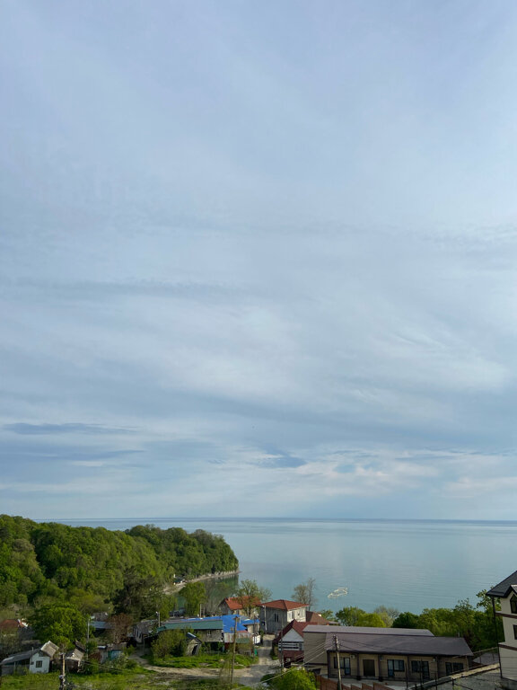 Фото Дельфин